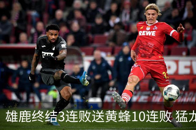 雄鹿终结3连败送黄蜂10连败 猛龙送火箭3连败